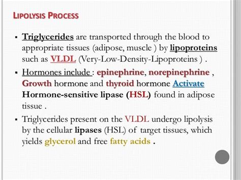 lipolysis|lipolysis meaning.